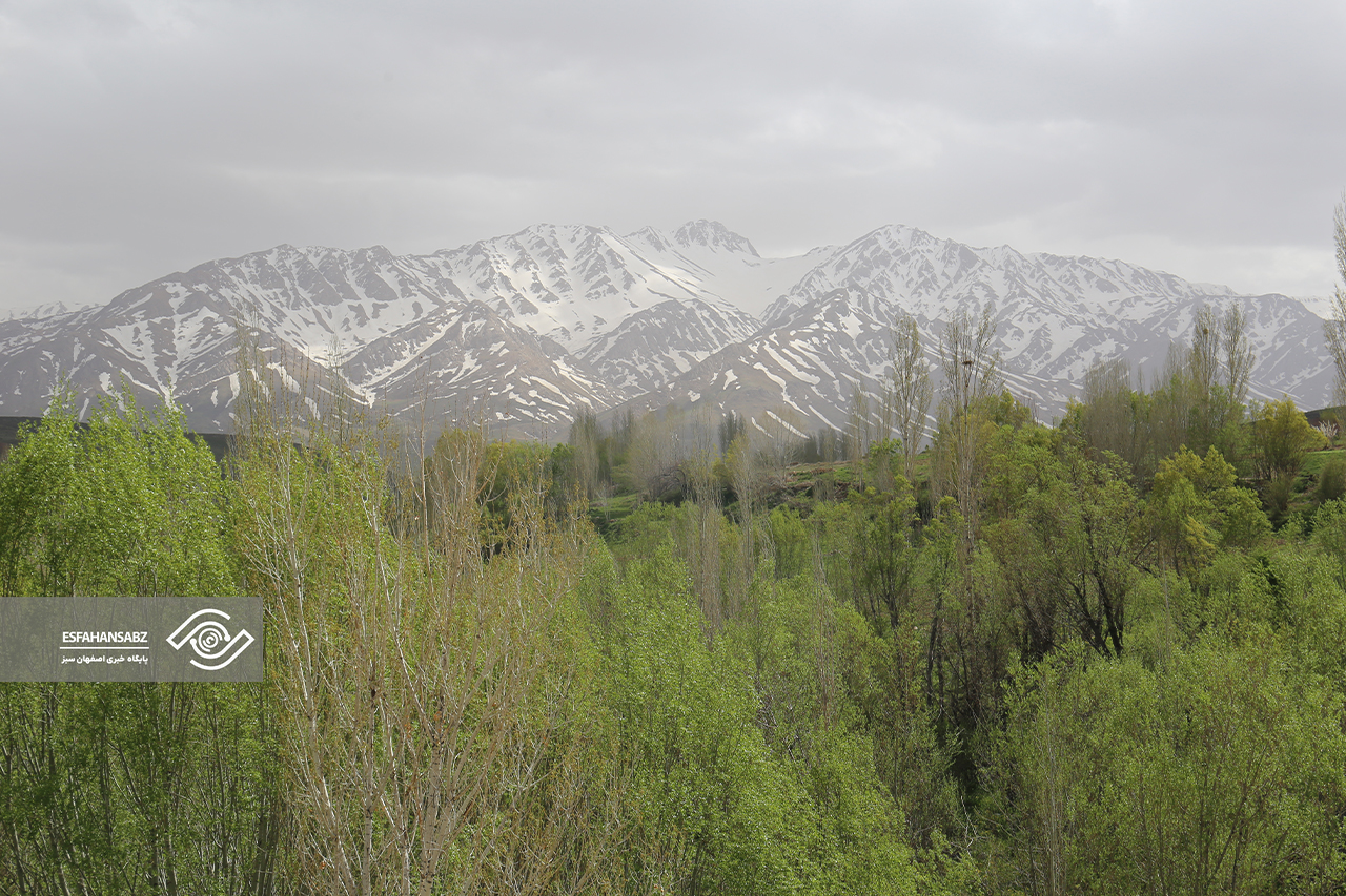 طبیعت بکر فریدون‌شهر در قاب تصویر؛ پونه‌زار، مقصدی برای عاشقان آرامش در ایران
