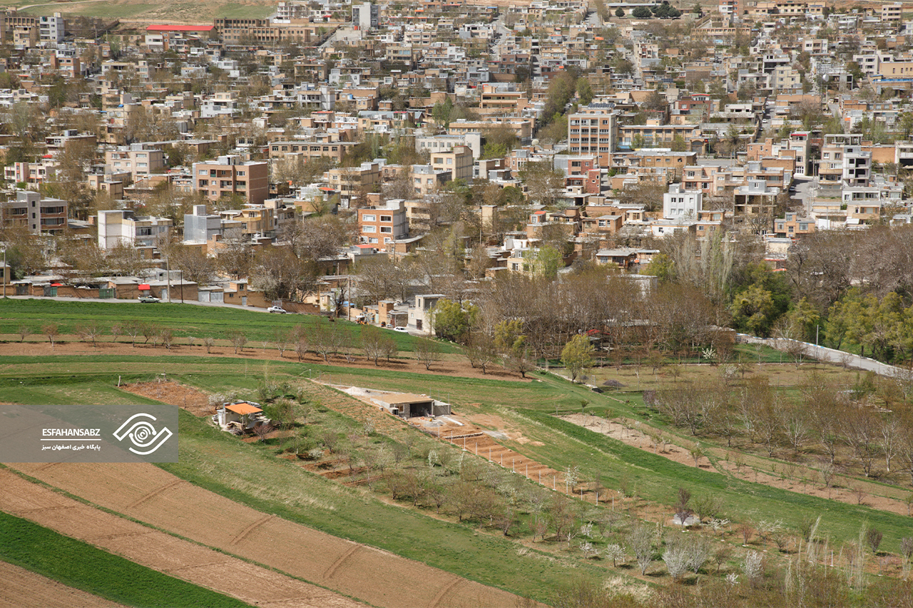 طبیعت بکر فریدون‌شهر در قاب تصویر؛ پونه‌زار، مقصدی برای عاشقان آرامش در ایران