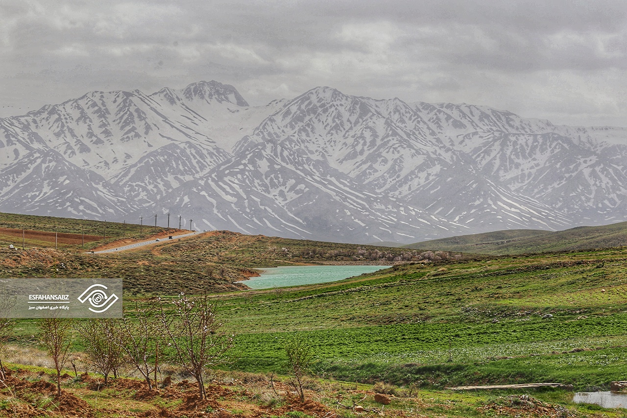 طبیعت بکر فریدون‌شهر در قاب تصویر؛ پونه‌زار، مقصدی برای عاشقان آرامش در ایران
